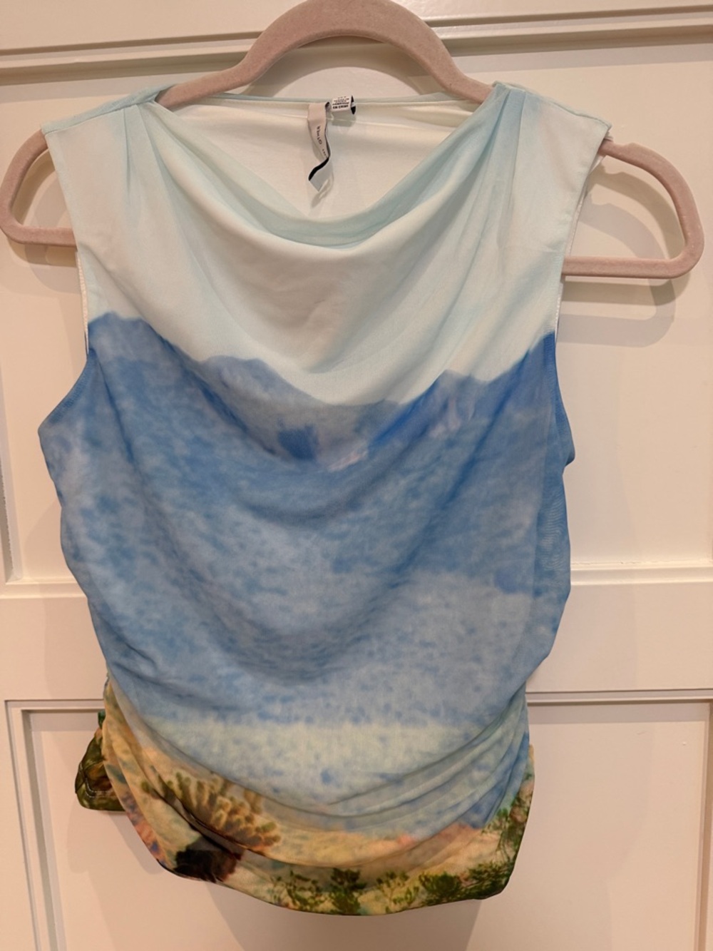 Significant others  Gradient Cowl Neck Top